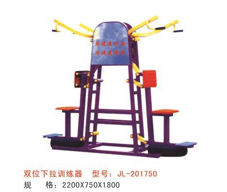 雙位下拉訓練器-201750